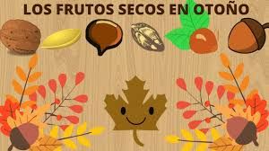 frutos secos otoño