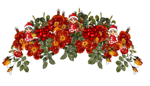 MerryC14