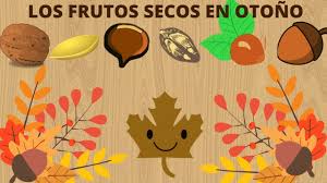 frutos secos otoño